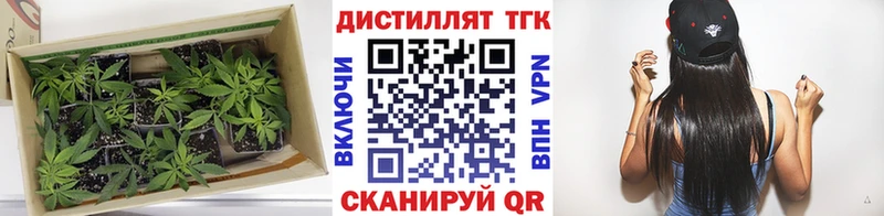ТГК THC oil  Купить закладки  Североуральск 