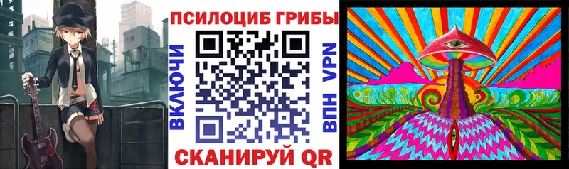 Купить где  Североуральск  Псилоцибиновые грибы мухоморы 
